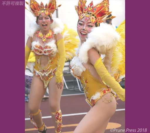 主なサンバ イベント一覧19年版 神戸まつりとサンバの祭り特集 By Prune Press
